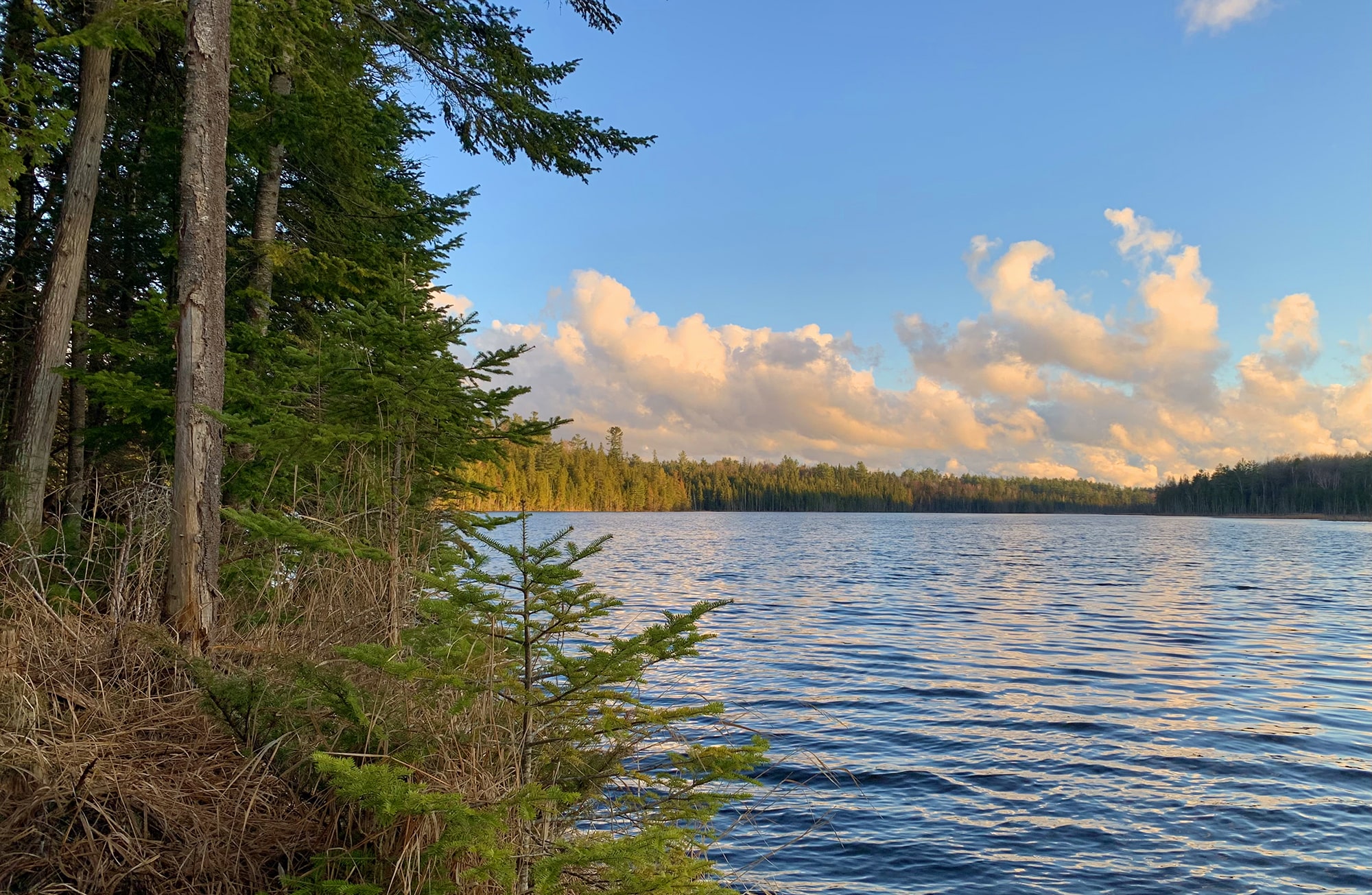 Spirit Bay Natural Sanctuary
